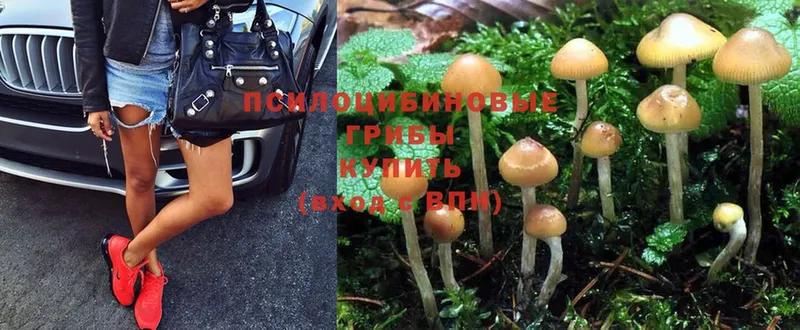 Псилоцибиновые грибы Magic Shrooms  Мариинск 